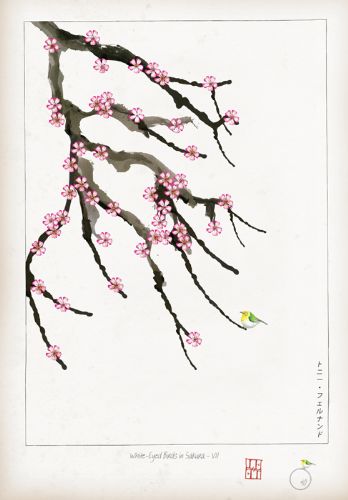VII - White Eyed Bird in Sakura by Tony Fernandes